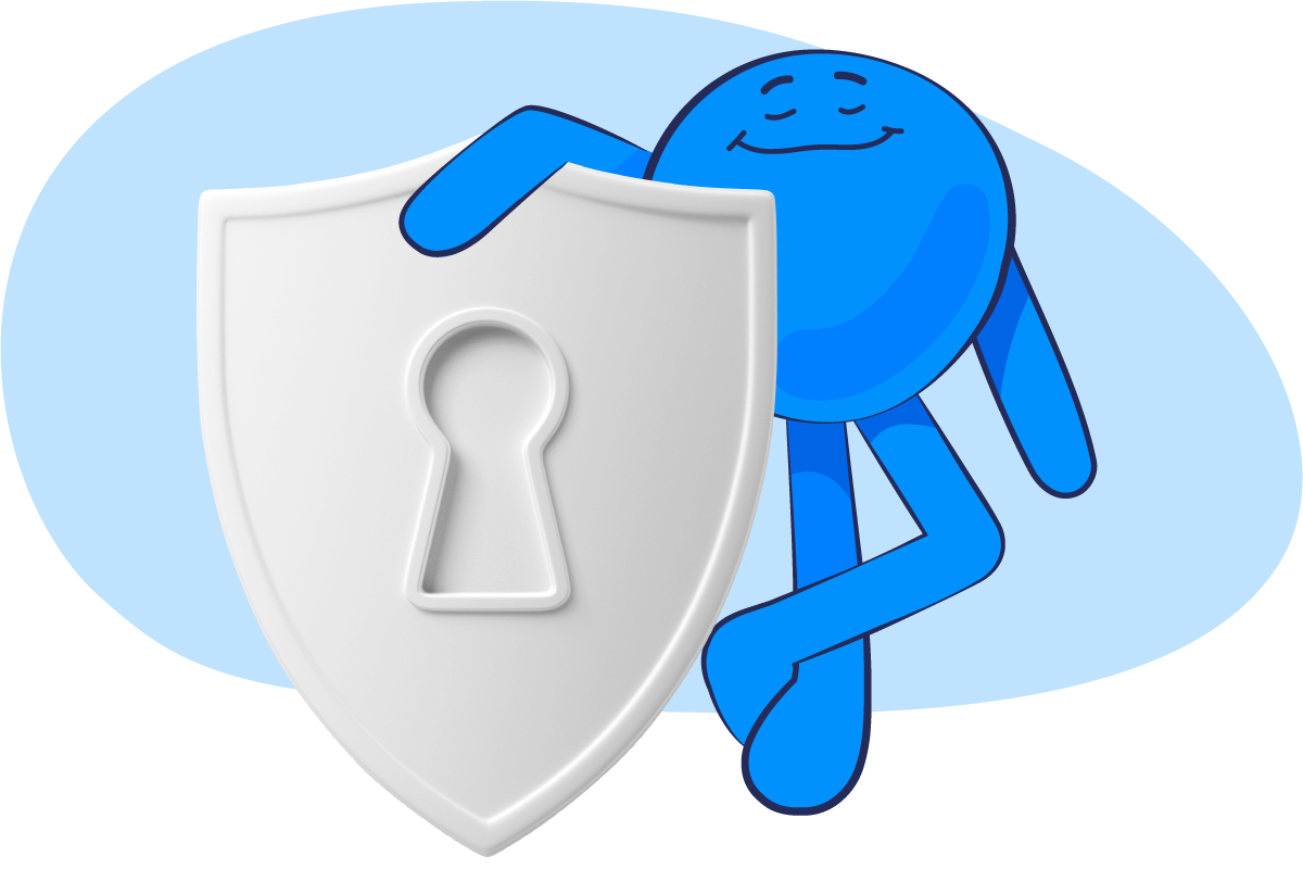 Privacy and security shield