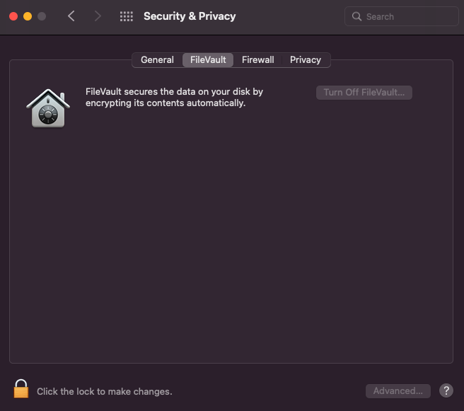 File Vault is a built-in Mac feature for encrypting files. 