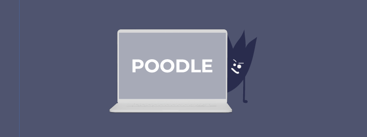 What is a POODLE attack, and does it steal data?