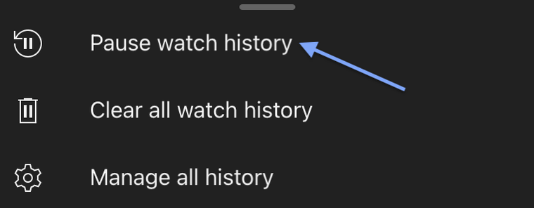 Tap on Pause watch history.