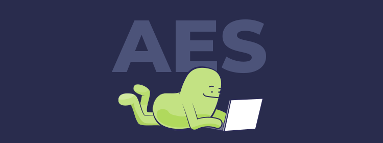 Learn about AES algorithm and how secure it is.